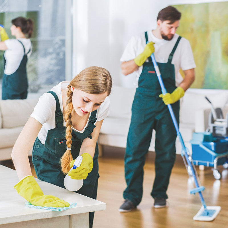 Cleaning Service